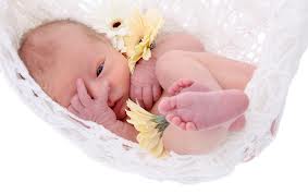New baby